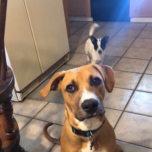 Meet your Posher, Nashell